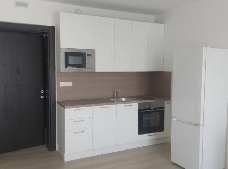 Pronájem bytu, 1+kk, 34 m²