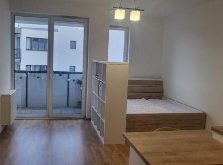 Pronájem bytu, 1+kk, 33 m²