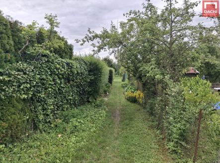 Pronájem pozemku, zahrada, 228 m²