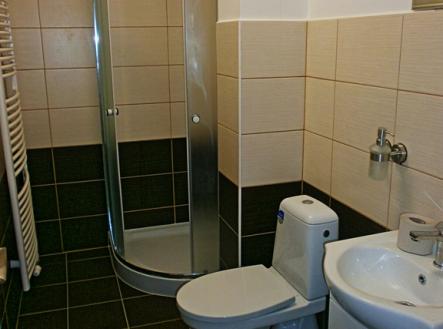 Pronájem bytu, 1+kk, 27 m²