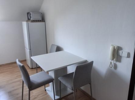 Pronájem bytu, jiný, 20 m²