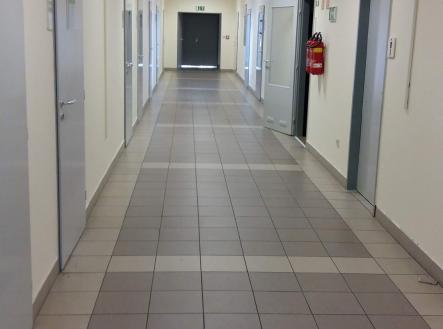Pronájem kanceláře, 42 m²