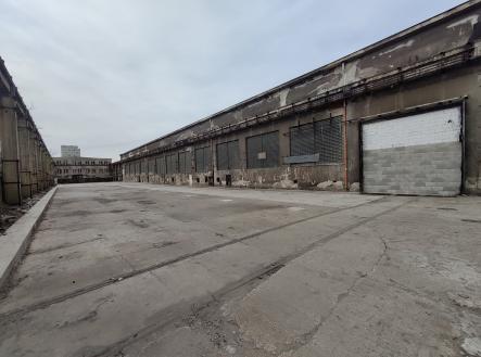 Pronájem pozemku, ostatní, 1 000 m²