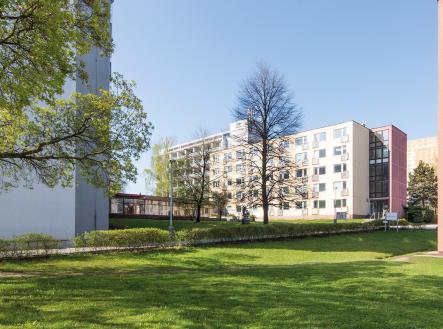 Pronájem - kanceláře, 363 m²