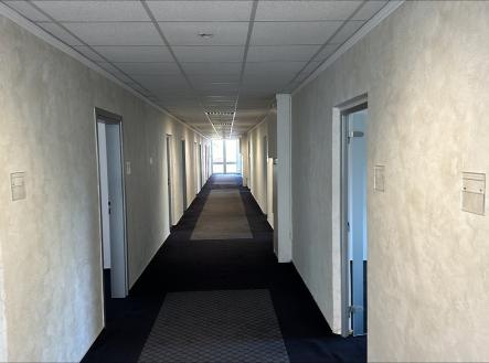 Pronájem kanceláře, 363 m²