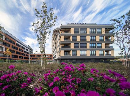 Prodej bytu, 2+kk, 55 m²