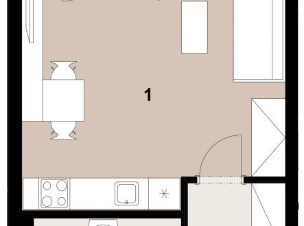 Prodej bytu, 1+kk, 33 m²