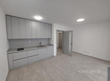 Pronájem bytu, garsoniéra, 34 m²