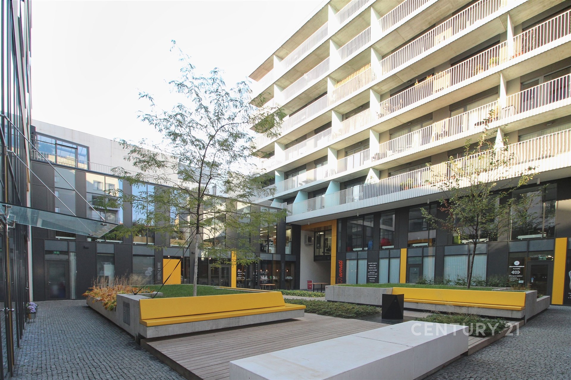 Fotku se nepodařilo načíst.