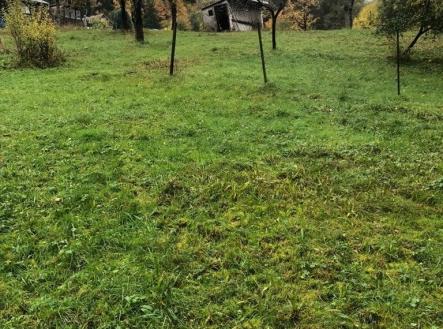 Prodej pozemku pro bydlení, 3 196 m²