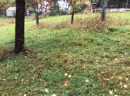 Prodej pozemku pro bydlení, 3 196 m²