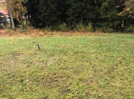 Prodej pozemku pro bydlení, 3 196 m²