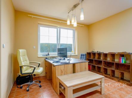 Pronájem domu/vily, 290 m²