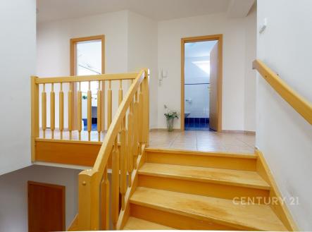 Pronájem domu/vily, 290 m²