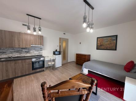 Pronájem bytu, 1+kk, 41 m²