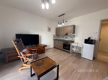Pronájem bytu, 1+kk, 41 m²