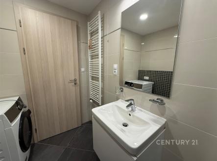 Pronájem bytu, 1+kk, 41 m²