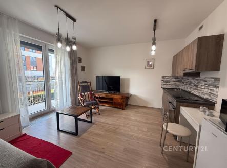 Pronájem bytu, 1+kk, 41 m²