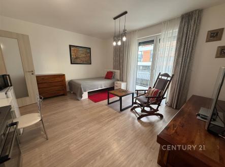 Pronájem bytu, 1+kk, 41 m²