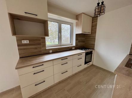 Pronájem domu/vily, 91 m²