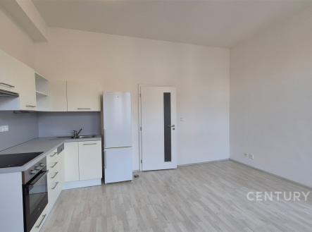 Pronájem bytu, 1+1, 57 m²