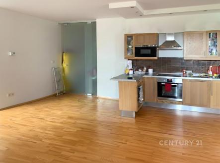 Pronájem bytu, 3+kk, 100 m²