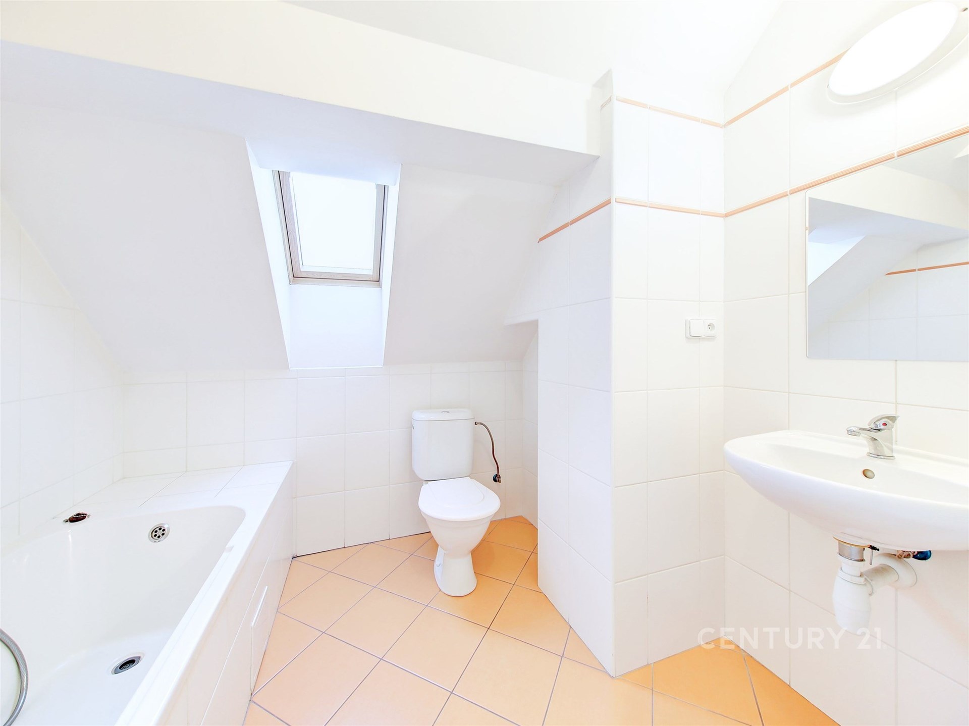 Fotku se nepodařilo načíst.