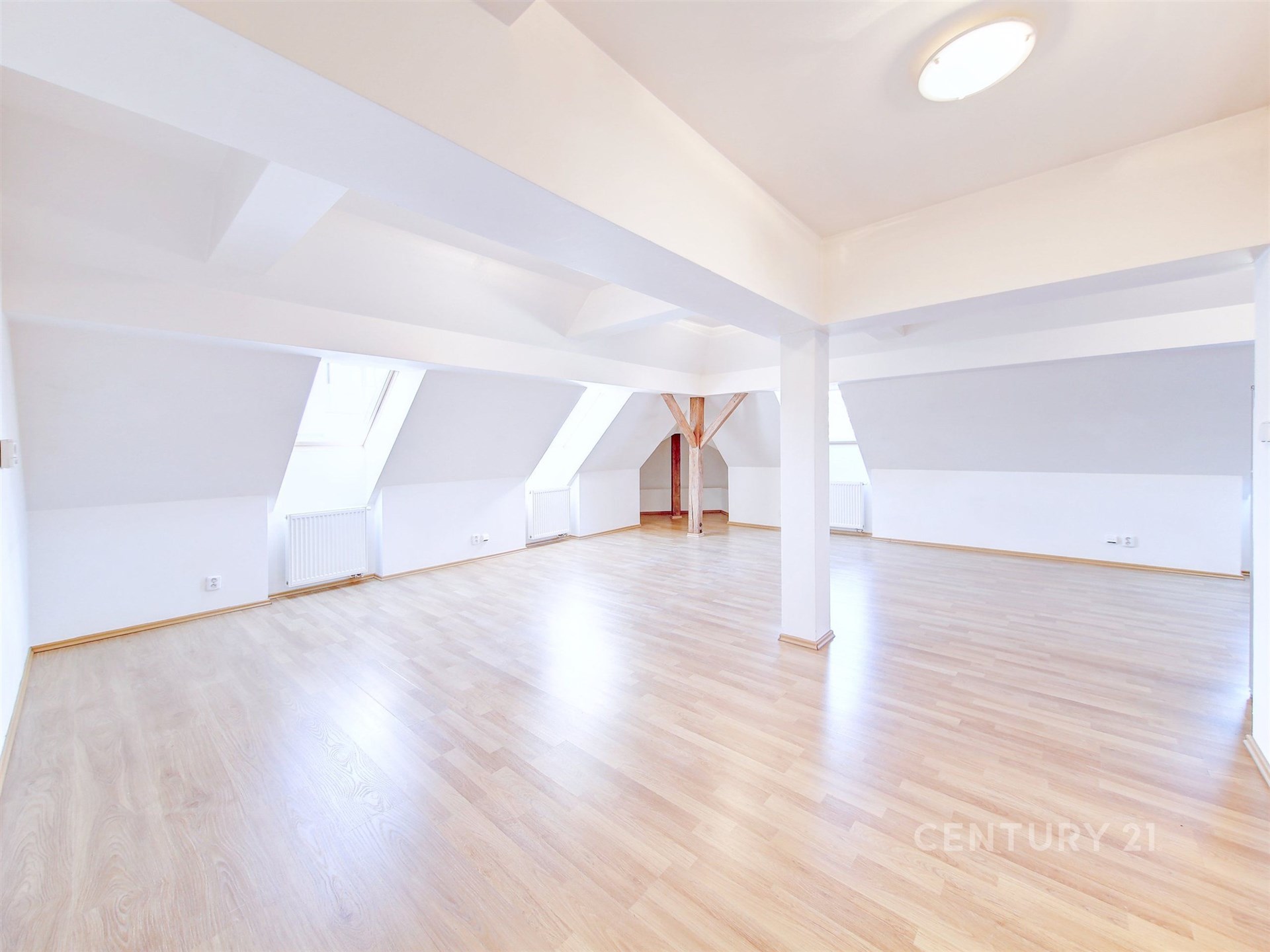 Fotku se nepodařilo načíst.