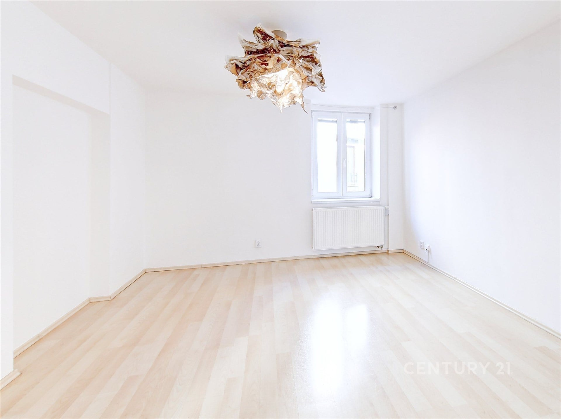 Fotku se nepodařilo načíst.