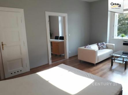 Pronájem bytu, 1+1, 56 m²