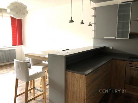 Pronájem bytu, 4+kk, 88 m²