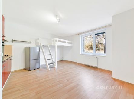 Prodej bytu, 1+kk, 32 m²