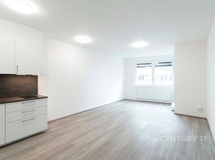 Pronájem bytu, 2+kk, 55 m²