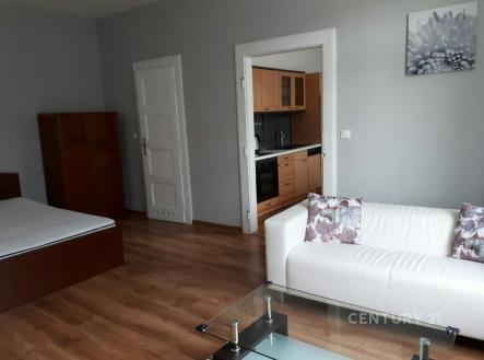 Pronájem bytu, 1+1, 56 m²