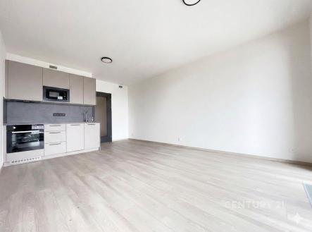 Pronájem bytu, garsoniéra, 36 m²