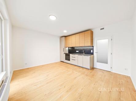 Pronájem bytu, 1+kk, 30 m²