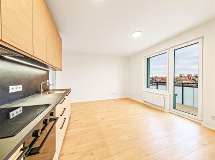 Pronájem bytu, 1+kk, 30 m²