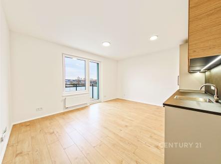 Pronájem bytu, 1+kk, 30 m²