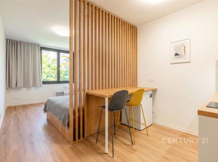 Prodej bytu, 1+kk, 28 m²