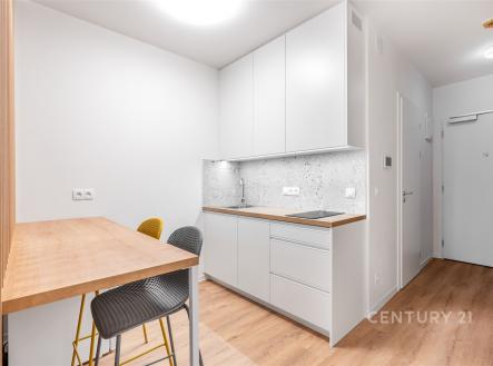 Prodej bytu, 1+kk, 28 m²