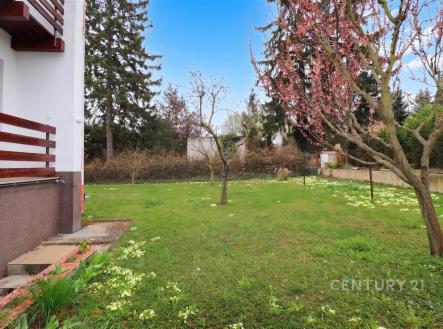 Pronájem domu/vily, 234 m²