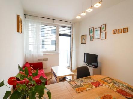Pronájem bytu, 1+kk, 31 m²