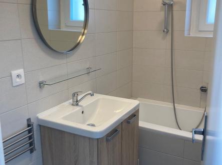 Pronájem bytu, 1+1, 43 m²