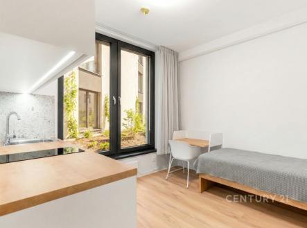 Prodej bytu, 1+kk, 22 m²
