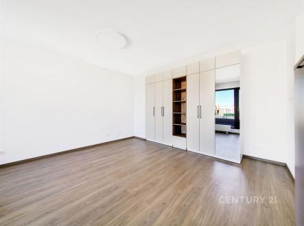 Pronájem bytu, 1+kk, 31 m²