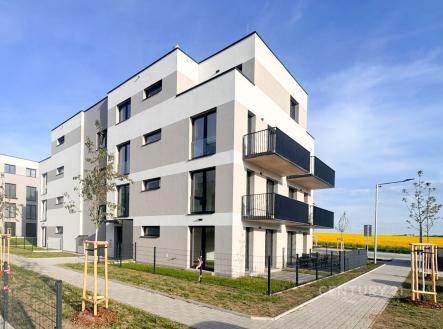 Pronájem bytu, 2+kk, 44 m²