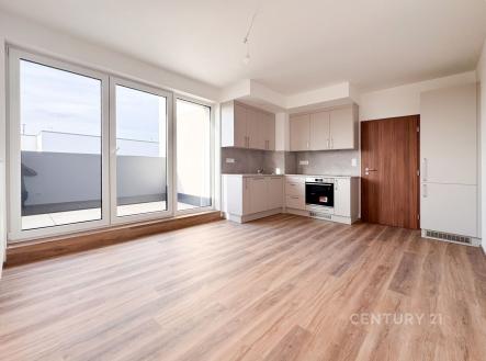Pronájem bytu, 2+kk, 44 m²