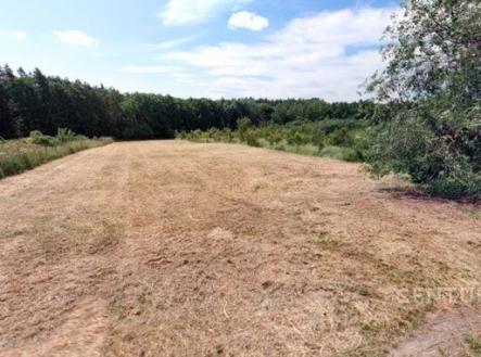 Prodej pozemku pro bydlení, 3 256 m²