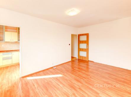 Pronájem bytu, 1+1, 28 m²