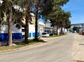 Pronájem výrobní prostory, 3 000 m²